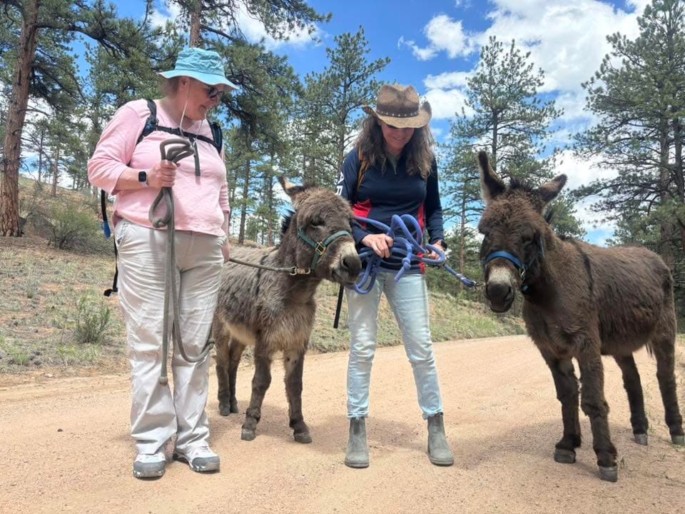 Happy hikers on a guided donkey hike with CRATES Colorado