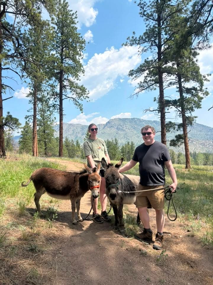 A hiking party enjoying a guided donkey hike with CRATES Colorado