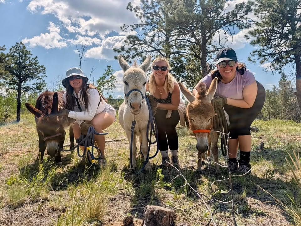 Three cousins each hiking with their own donkey through a Colorado mountain trail