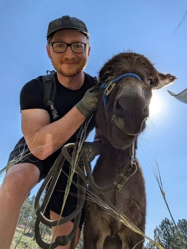 Applejack, miniature donkey at CRATES Colorado