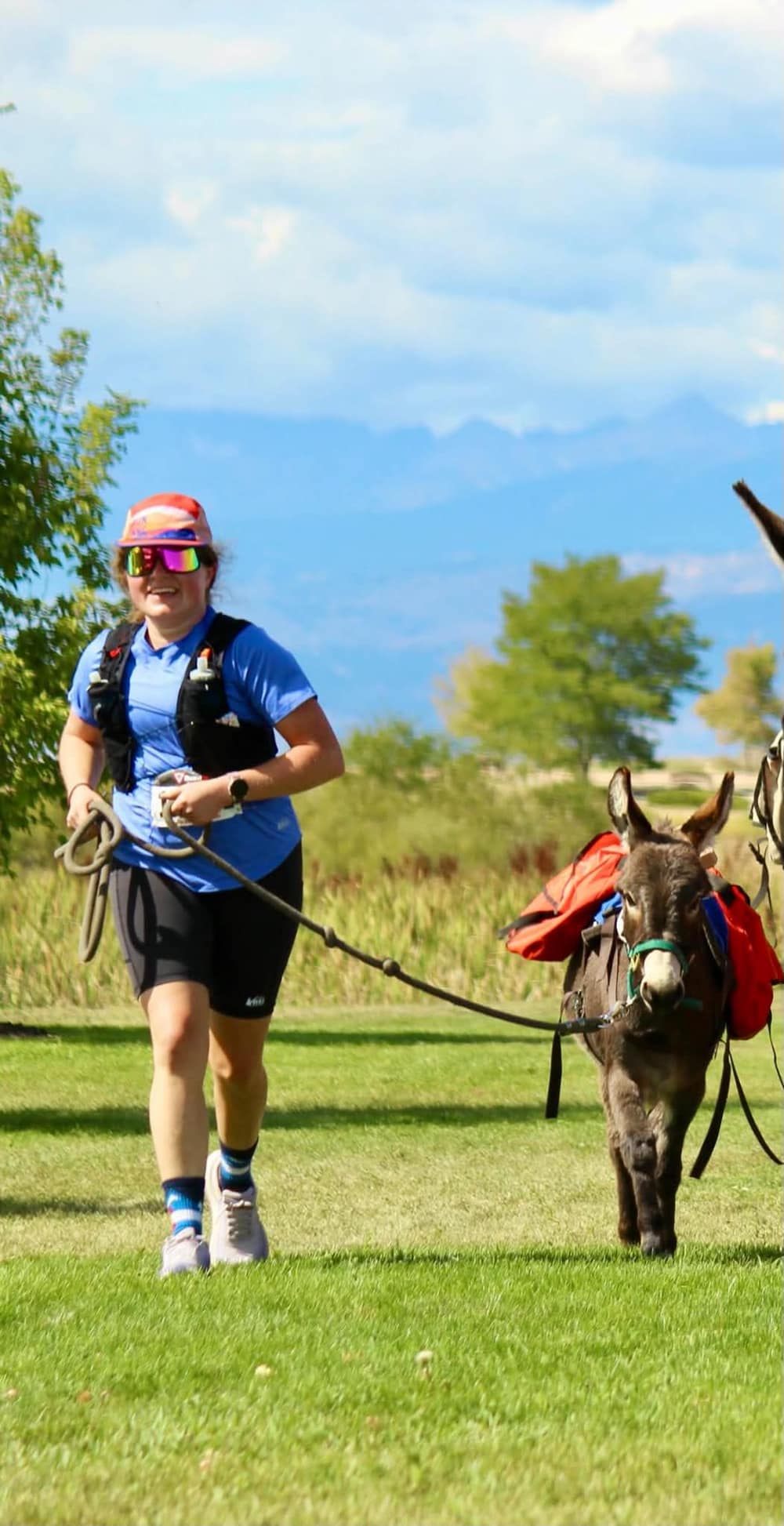 (Look It's) Bigfoot, miniature donkey at CRATES Colorado