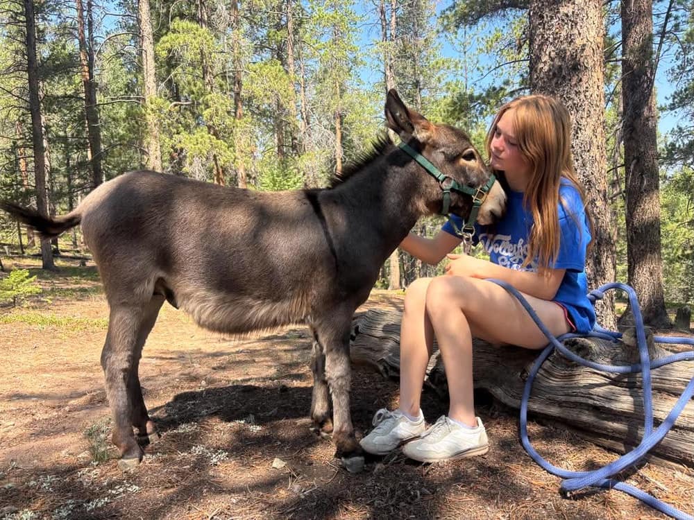 (Look It's) Bigfoot, miniature donkey at CRATES Colorado