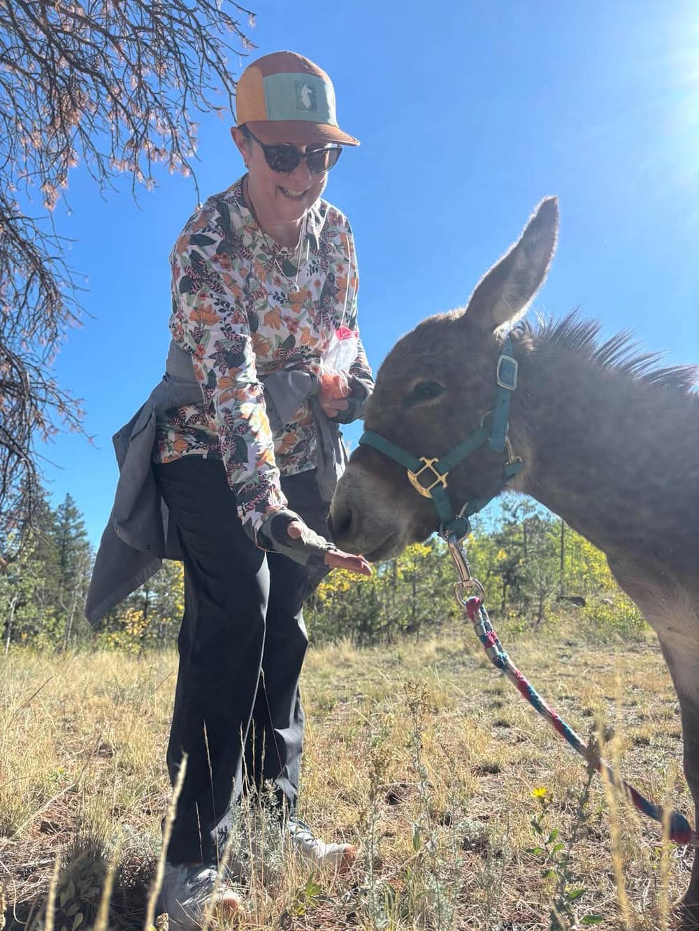 Boots the Donkey, miniature donkey at CRATES Colorado