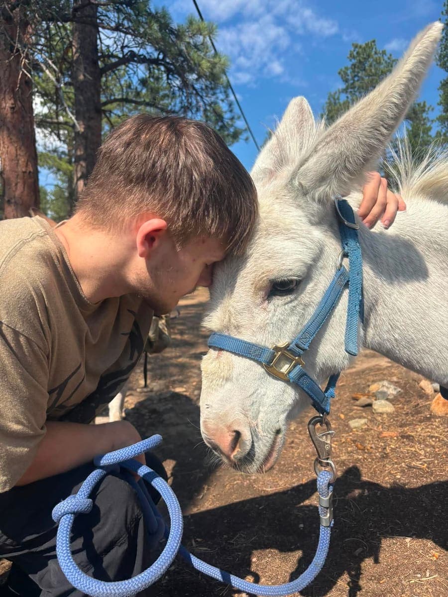 Denver The Donkey, miniature donkey at CRATES Colorado