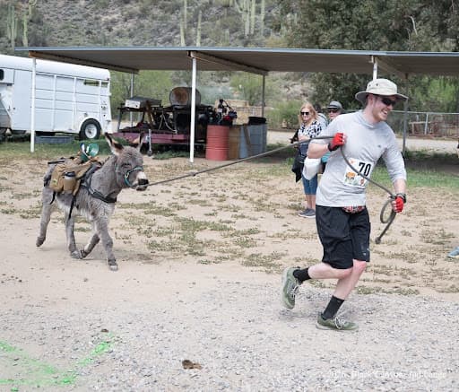 Geodude, miniature donkey at CRATES Colorado