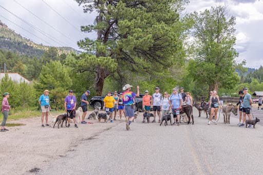 Racers and their miniature donkeys gathered on the course at a CRATES Colorado pack burro race in Bailey, Colorado